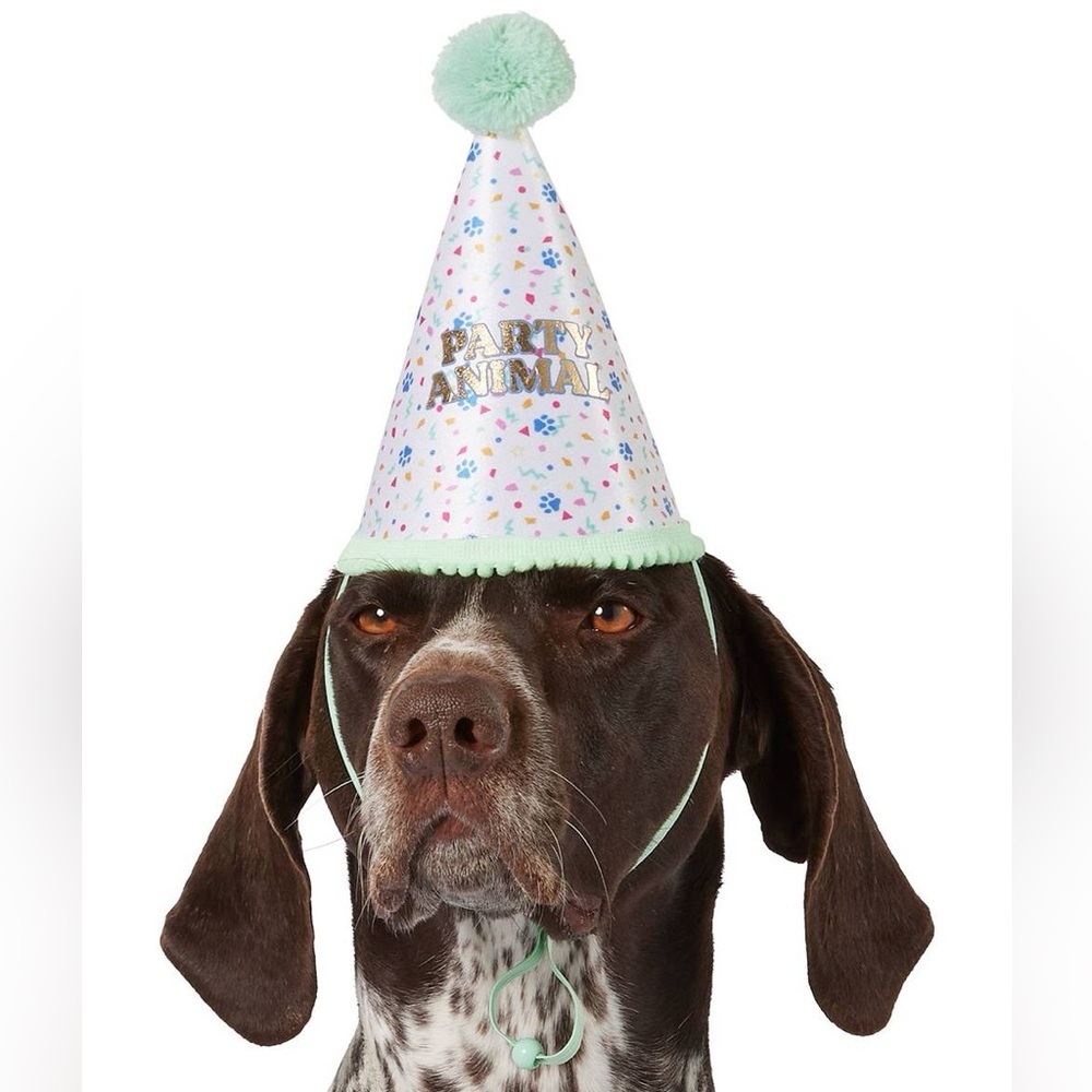 Party Animal Dog Birthday Party Hat